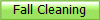 Fall Cleaning