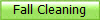 Fall Cleaning